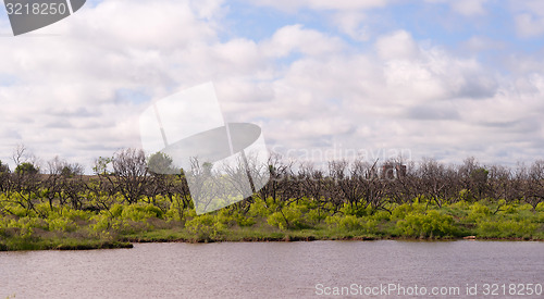 Image of Nature\'s Beautiful Horizon Springtime Comes to Rural Countryside