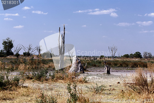 Image of African landscape