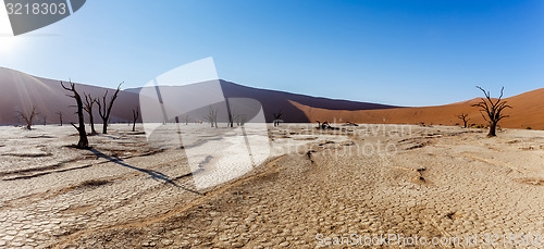 Image of beautiful landscape of Hidden Vlei in Namib desert panorama