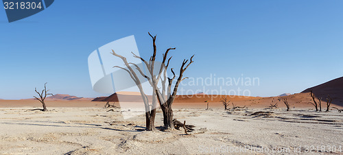 Image of beautiful landscape of Hidden Vlei in Namib desert panorama