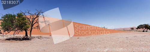 Image of wide panorama Dune 45 in sossusvlei Namibia