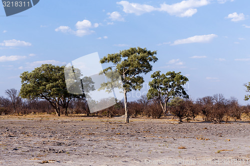 Image of African landscape