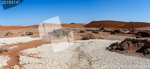 Image of beautiful landscape of Hidden Vlei in Namib desert panorama