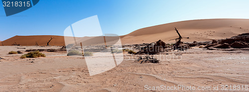 Image of beautiful landscape of Hidden Vlei in Namib desert panorama