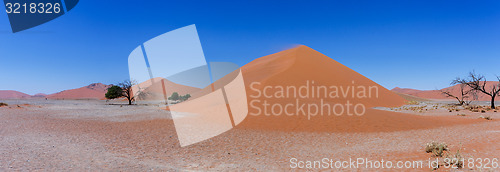 Image of wide panorama Dune 45 in sossusvlei Namibia