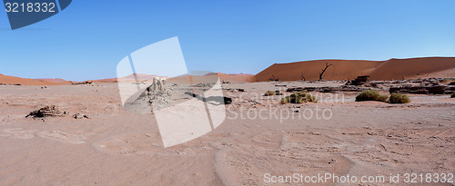 Image of beautiful landscape of Hidden Vlei in Namib desert panorama