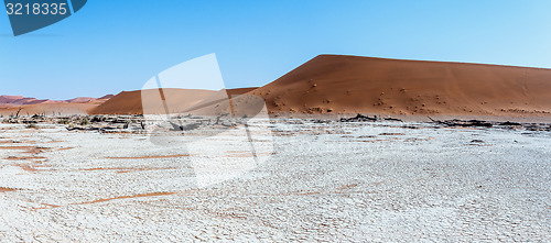 Image of beautiful landscape of Hidden Vlei in Namib desert panorama