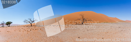 Image of wide panorama Dune 45 in sossusvlei Namibia