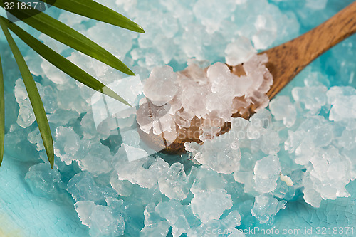 Image of Water kefir grains