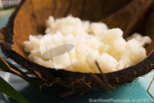 Image of Organic probiotic milk kefir grains