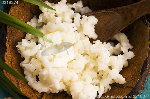 Image of Organic probiotic milk kefir grains