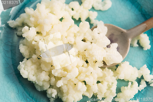 Image of Organic probiotic milk kefir grains