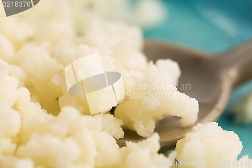 Image of Organic probiotic milk kefir grains