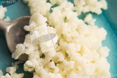 Image of Organic probiotic milk kefir grains