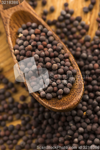 Image of Brown mustard seeds