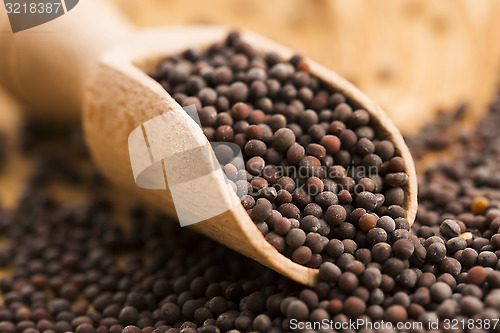 Image of Brown mustard seeds