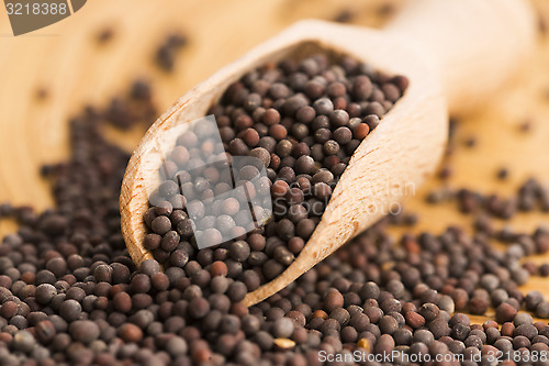 Image of Brown mustard seeds