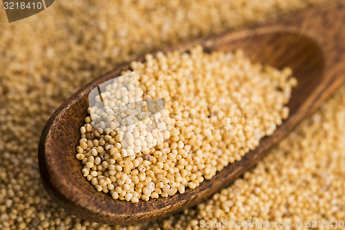 Image of White poppy seeds