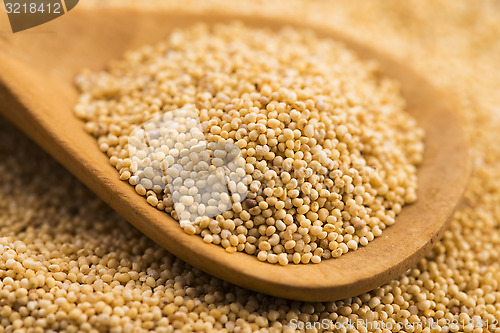 Image of White poppy seeds