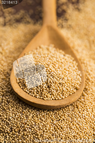 Image of White poppy seeds