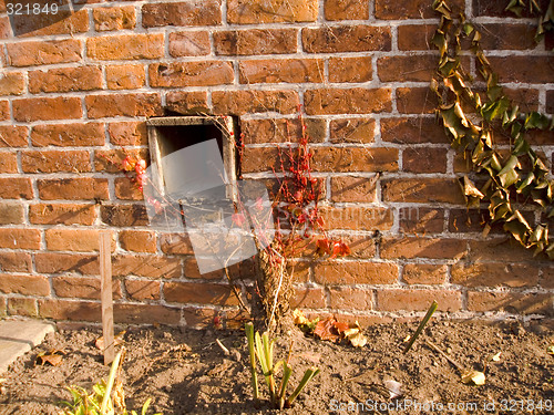 Image of Brick wall