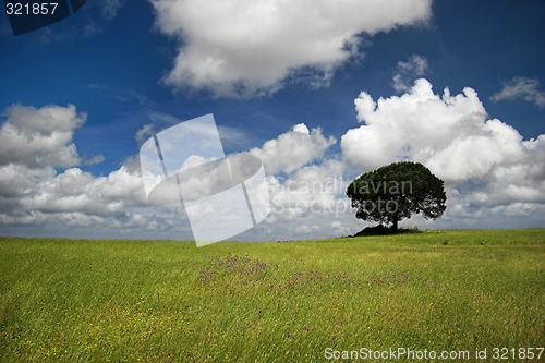 Image of Happy tree