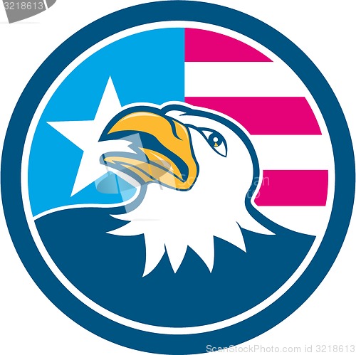 Image of American Bald Eagle Head Flag Side Cartoon