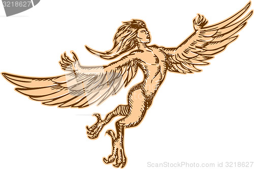 Image of Harpy Flying Front Etching