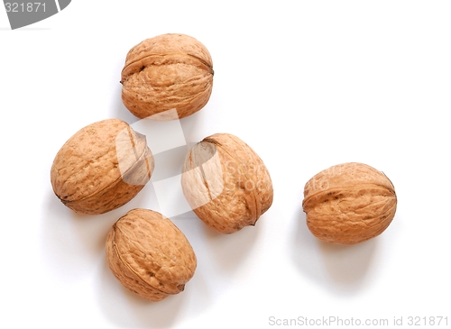Image of Walnuts