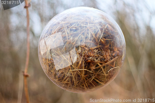 Image of global concept early spring landscape