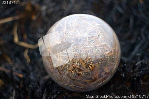 Image of global concept early spring fires and burnt grass