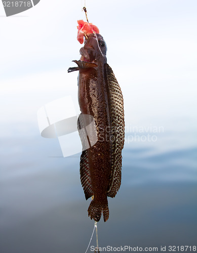 Image of Fishing on the Pacific ocean