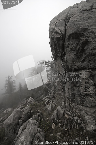 Image of  top of mountain in fog