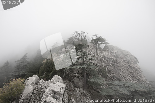 Image of  top of mountain in fog