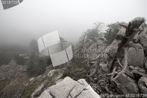 Image of  top of mountain in fog