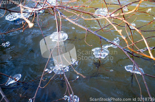 Image of natural surroundings spring is everywhere