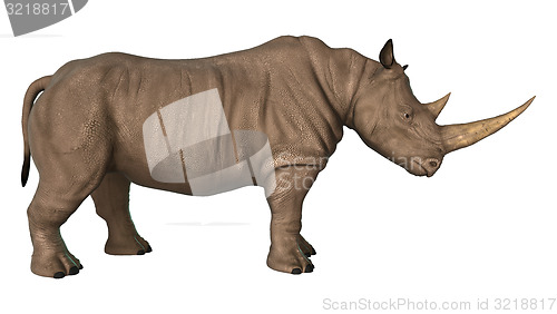 Image of Rhinoceros