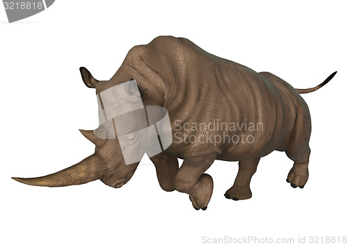 Image of Rhinoceros