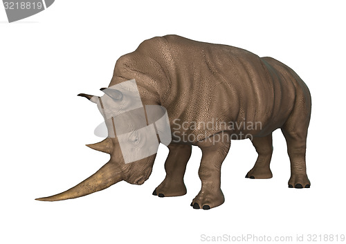 Image of Rhinoceros