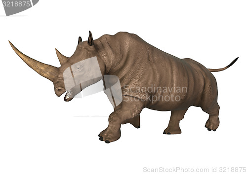 Image of Rhinoceros