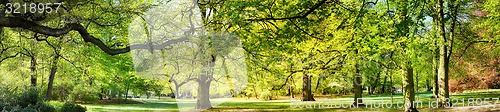 Image of Park in spring time