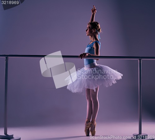 Image of classic ballerina posing at ballet barre