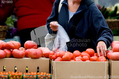 Image of Picking fresh vegetables