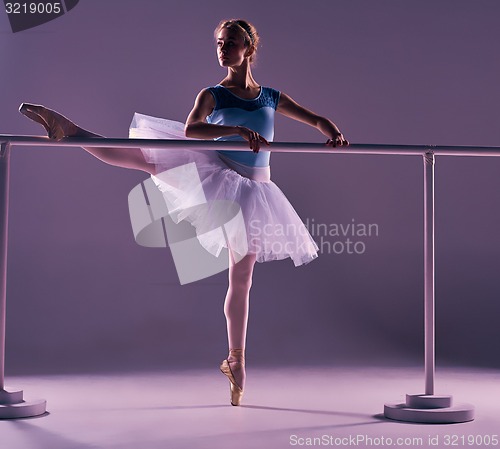 Image of classic ballerina posing at ballet barre