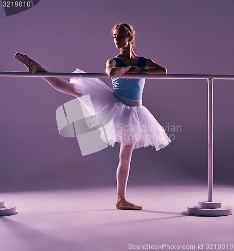 Image of classic ballerina posing at ballet barre