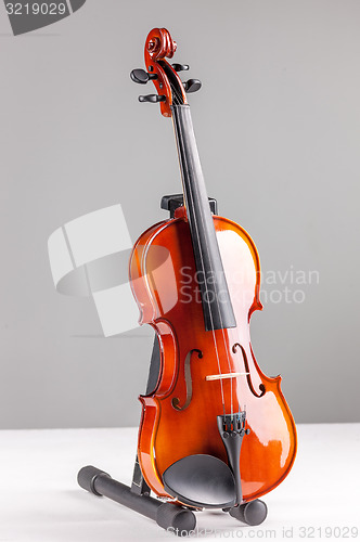 Image of Violin front view isolated on gray