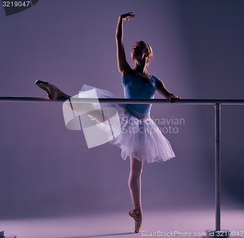 Image of classic ballerina posing at ballet barre