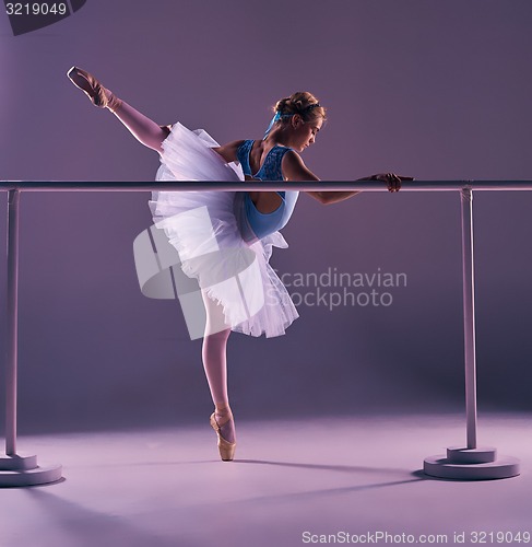 Image of classic ballerina posing at ballet barre