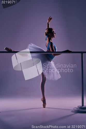 Image of classic ballerina posing at ballet barre