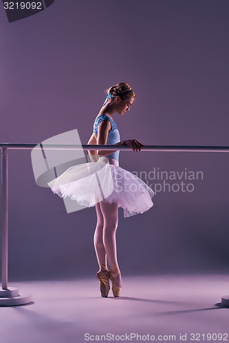 Image of classic ballerina posing at ballet barre